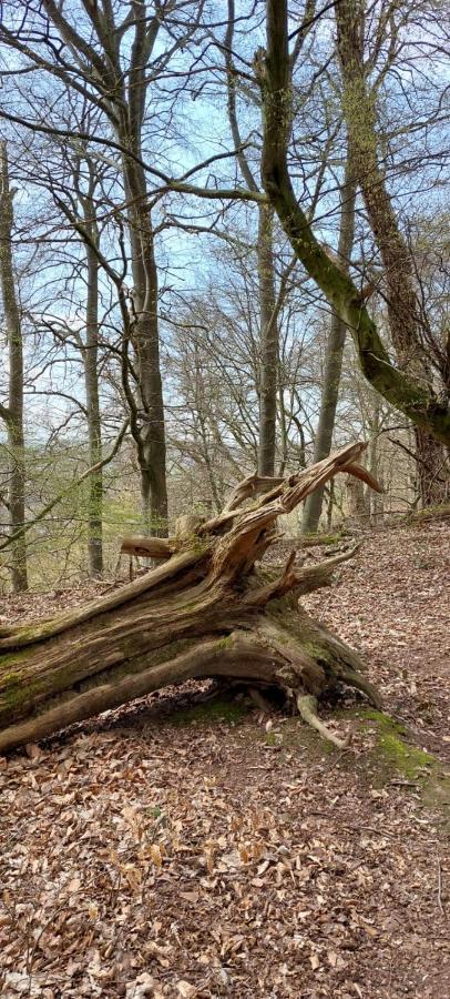 Froschkoenig Mit Teichblick Appartement Trendelburg Buitenkant foto