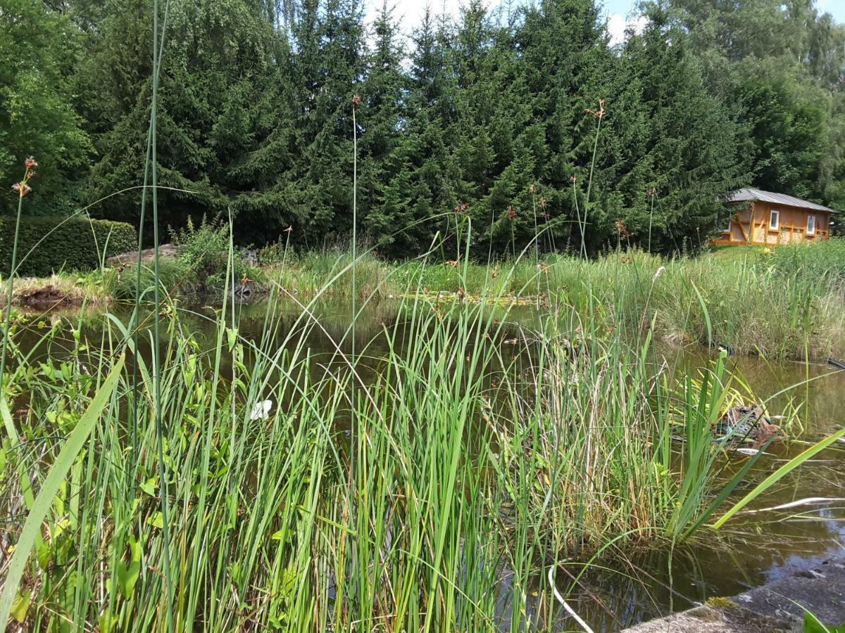 Froschkoenig Mit Teichblick Appartement Trendelburg Buitenkant foto