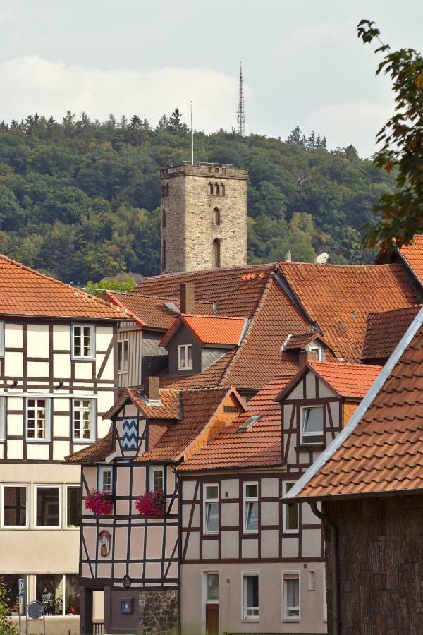 Froschkoenig Mit Teichblick Appartement Trendelburg Buitenkant foto